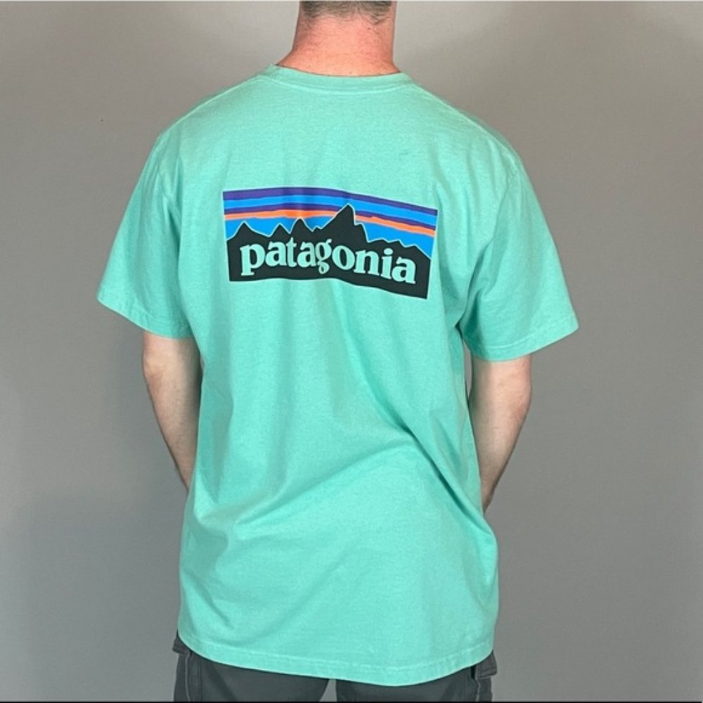 PATAGONIA Mens P-6 Responsibiliti-Tee T-Shirt – Mint Green - XL